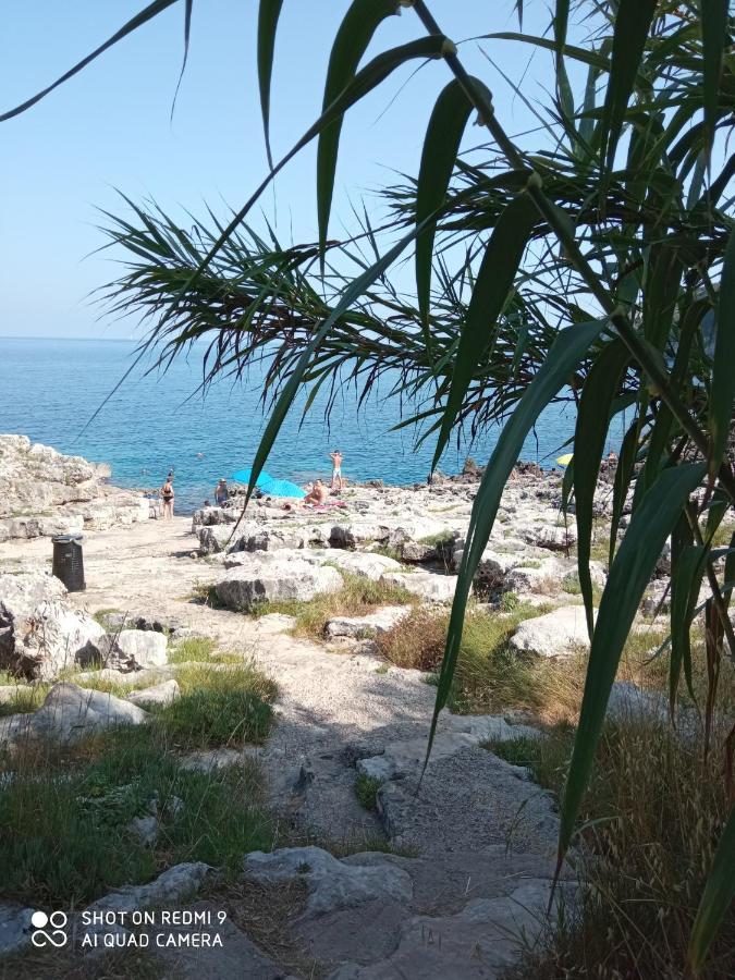 La Mennula Garden Apartment Salignano  Bagian luar foto